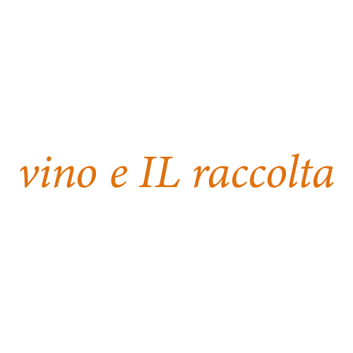 Vino E Il Raccolta お得なランチ Lunch Menu